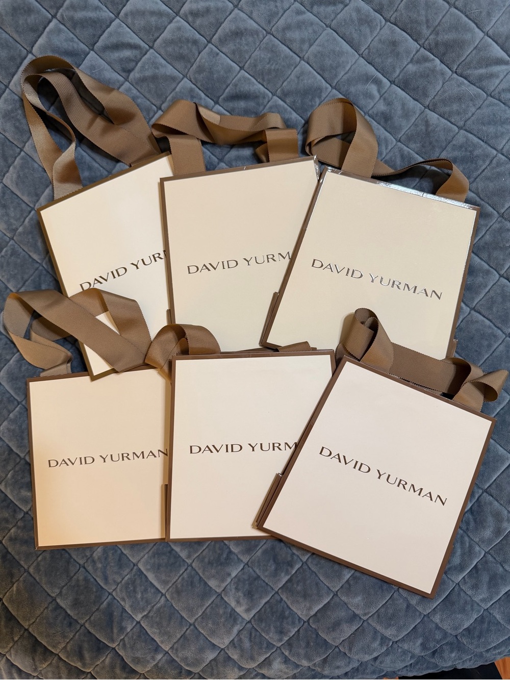 David Yurman Shopping Bag and Cleaning Cloth- Set of 6